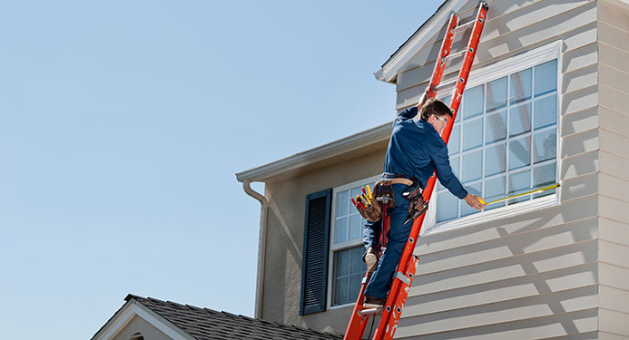 window-ladder