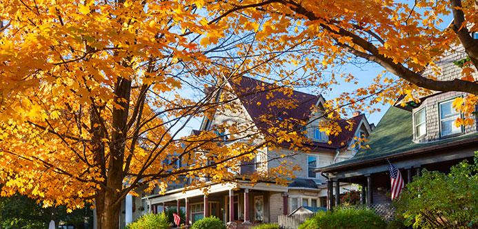 fall-foliage